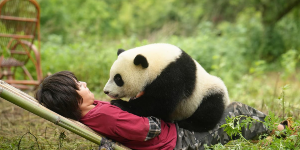 Moon le panda – Mercredi 23 avril à 14h15 – dès 8 ans – 5,20 €