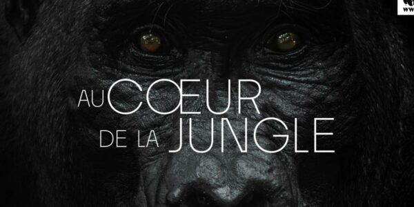 Au cœur de la jungle – Mercredi 20 mai à 14h15
